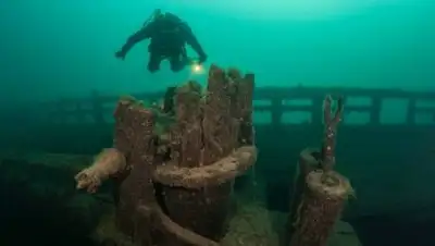 iStock, фото - Новости Zakon.kz от 20.07.2021 23:22