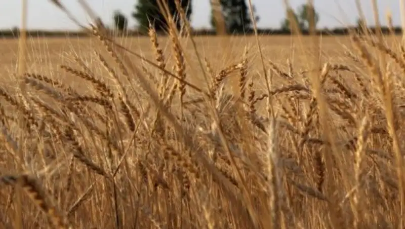 Погода без осадков ожидается в Казахстане