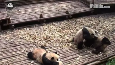 Zakon.kz, фото - Новости Zakon.kz от 03.02.2015 17:16