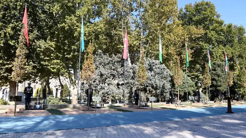 деревья, Токаев, фото - Новости Zakon.kz от 11.11.2022 15:40