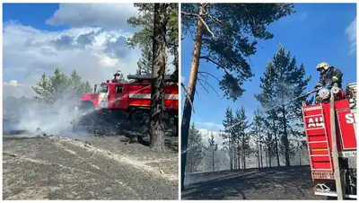 ВКО, лесной пожар, крупный, локализация, фото - Новости Zakon.kz от 02.06.2022 13:39