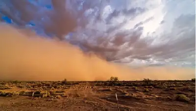 погода, фото - Новости Zakon.kz от 17.04.2022 18:30