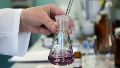 © РИА Новости/Александр Кряжев, фото - Новости Zakon.kz от 25.04.2018 21:21