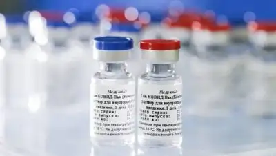 wikimedia.org, фото - Новости Zakon.kz от 25.01.2021 11:49