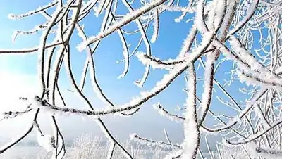 Zakon.kz, фото - Новости Zakon.kz от 25.02.2014 15:02