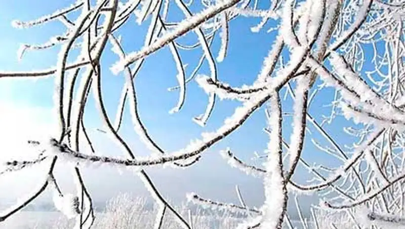 В ближайшие дни морозы в стране начнут ослабевать