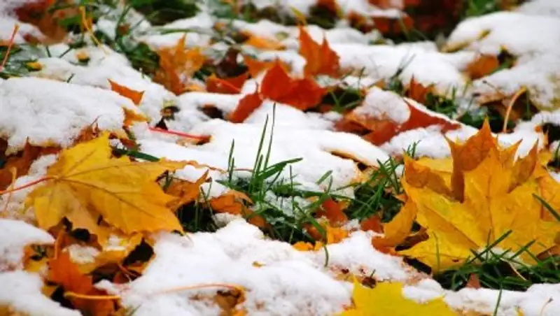 Сильные осадки прогнозируют казахстанские синоптики