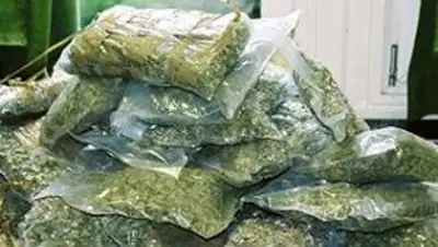 Zakon.kz, фото - Новости Zakon.kz от 12.06.2014 16:59