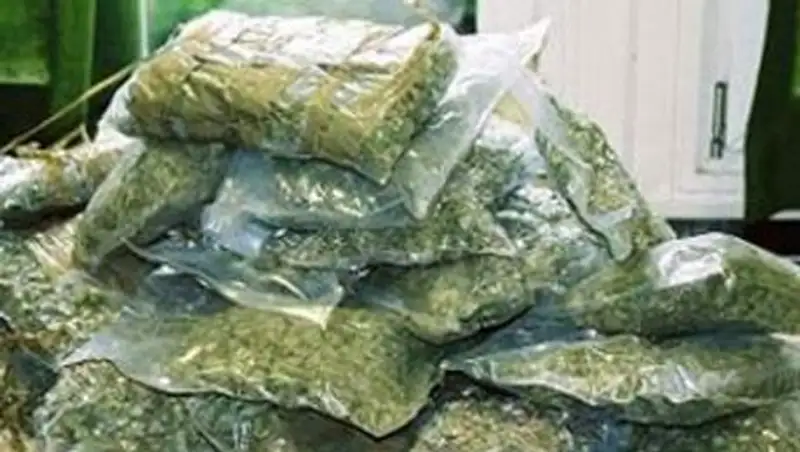 В Таразе изъяли крупную партию наркотиков