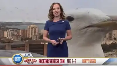 Zakon.kz, фото - Новости Zakon.kz от 04.08.2017 21:18