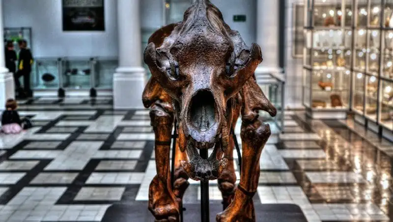 Неизвестный вид бронированных динозавров обнаружили ученые в Китае