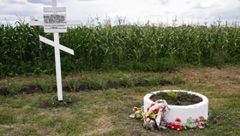 Нидерланды сообщили об отказе от международного трибунала по «Боингу»