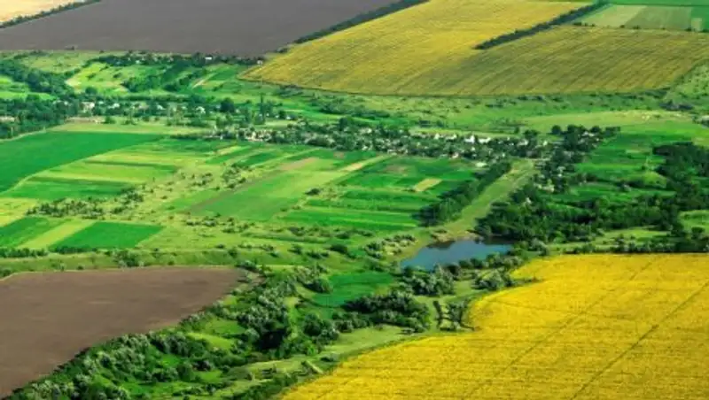 В акимате Акмолинской области обсудили актуальные вопросы в сфере земельных отношений