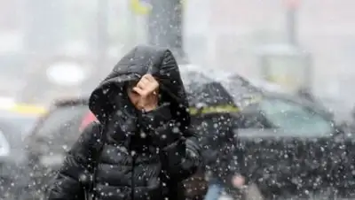 Фото: arnapress.kz, фото - Новости Zakon.kz от 18.01.2018 09:31