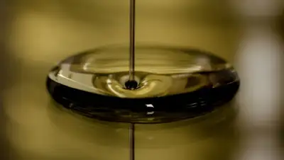 Pixabay, фото - Новости Zakon.kz от 20.10.2019 07:35