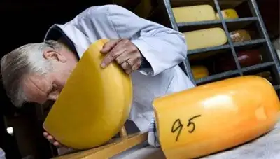 Zakon.kz, фото - Новости Zakon.kz от 16.04.2014 17:49