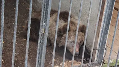 Zakon.kz, фото - Новости Zakon.kz от 12.11.2015 21:06