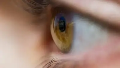 из открытых источников, фото - Новости Zakon.kz от 28.01.2019 20:52