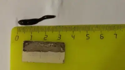 Zakon.kz, фото - Новости Zakon.kz от 24.11.2015 15:53