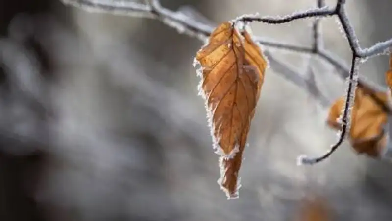 Новая волна холода ожидает казахстанцев
