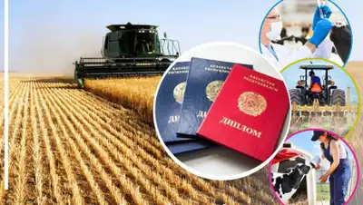 МСХ РК, фото - Новости Zakon.kz от 11.12.2019 09:37