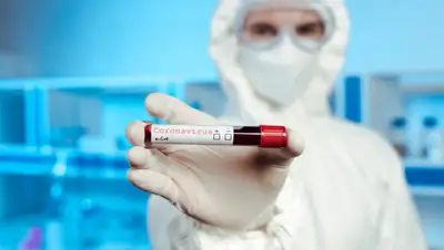 24.kz, фото - Новости Zakon.kz от 15.04.2020 11:44