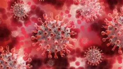 pixabay, фото - Новости Zakon.kz от 01.11.2021 19:50