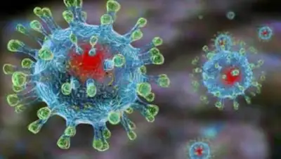 pixabay, фото - Новости Zakon.kz от 26.07.2021 18:35