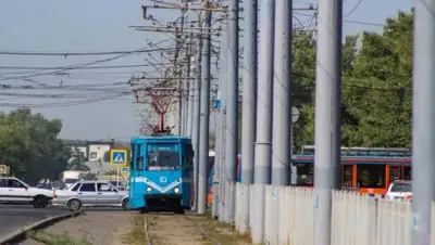 Павон, фото - Новости Zakon.kz от 26.11.2019 17:39