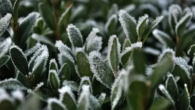 Zakon.kz, фото - Новости Zakon.kz от 19.05.2016 12:00