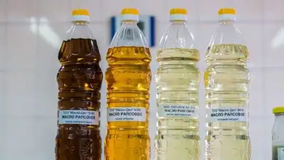 Zakon.kz, фото - Новости Zakon.kz от 30.06.2016 21:50