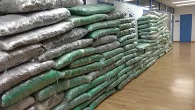 astynomia.gr, фото - Новости Zakon.kz от 12.06.2020 15:45