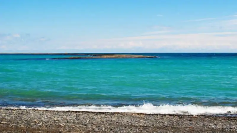 Специалисты проводят исследования проб воды из Алаколя