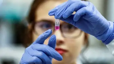 rbk.ru, фото - Новости Zakon.kz от 27.10.2020 17:04