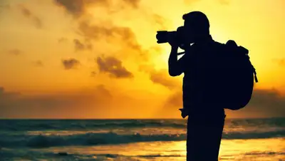 w-dog.ru, фото - Новости Zakon.kz от 29.04.2019 11:30