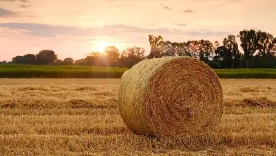 агротехнологии Казахстан Франция, фото - Новости Zakon.kz от 09.09.2022 17:01