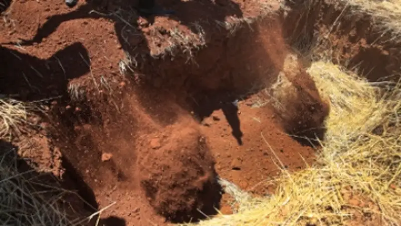 Иракские военные сообщили об обнаружении тел 365 боевиков ИГ