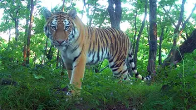 Zakon.kz, фото - Новости Zakon.kz от 28.05.2015 23:15