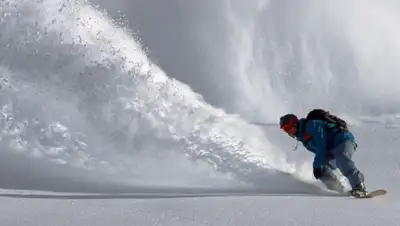 pixabay.com, фото - Новости Zakon.kz от 01.04.2019 23:12