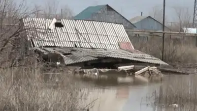 Zakon.kz, фото - Новости Zakon.kz от 25.04.2017 04:10