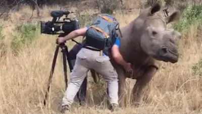 Zakon.kz, фото - Новости Zakon.kz от 19.03.2017 23:45