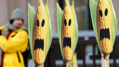 Zakon.kz, фото - Новости Zakon.kz от 03.02.2014 23:43