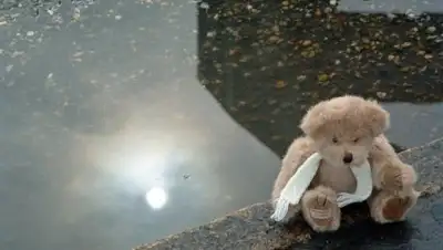 Zakon.kz, фото - Новости Zakon.kz от 03.06.2016 12:00