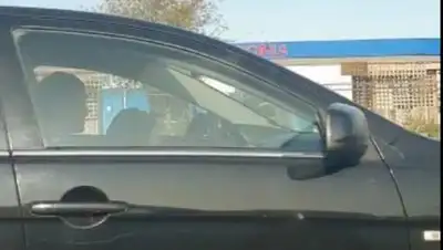 кадр из видео, фото - Новости Zakon.kz от 23.09.2020 19:59