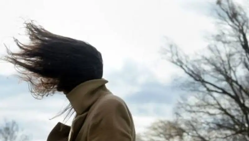 В Таразе ураган сносил, людей, крыши, деревья