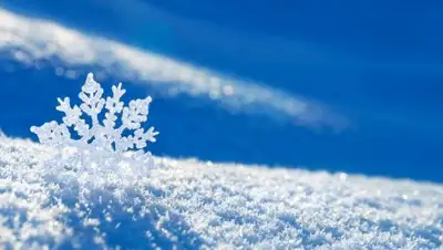 Zakon.kz, фото - Новости Zakon.kz от 10.01.2017 12:00