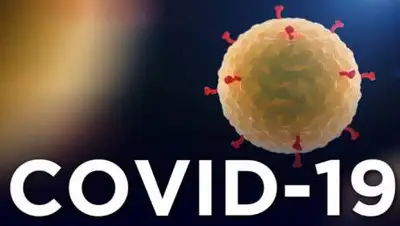 khabar.kz, фото - Новости Zakon.kz от 16.11.2020 19:31