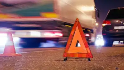 Ранак, фото - Новости Zakon.kz от 05.11.2018 15:58