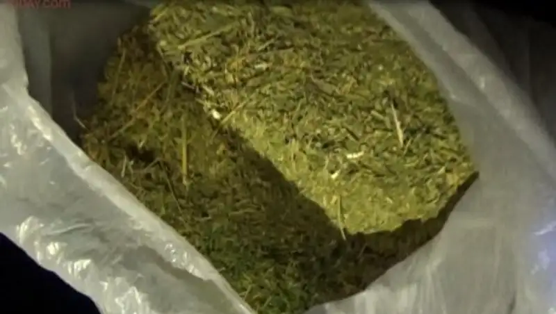 В аэропорту Алматы обнаружен груз с наркотиками