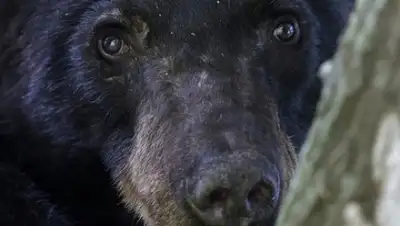 Zakon.kz, фото - Новости Zakon.kz от 28.06.2015 19:04